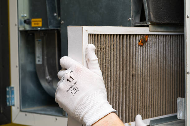 Best Professional Duct Cleaning Services  in Buellton, CA