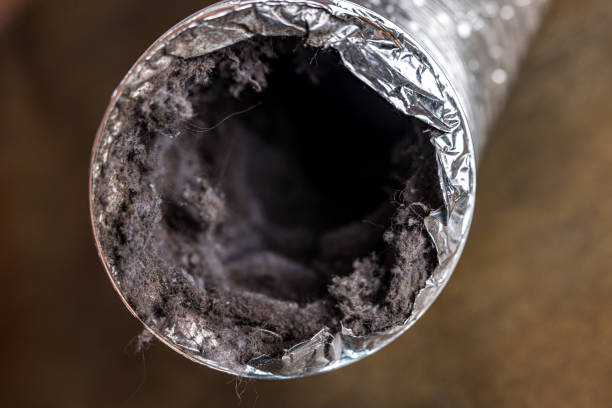 Best HVAC Air Duct Cleaning  in Buellton, CA