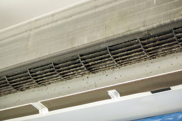 Best Air Duct Cleaning Near Me  in Buellton, CA
